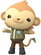 octonauts 8 lis